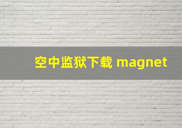 空中监狱下载 magnet